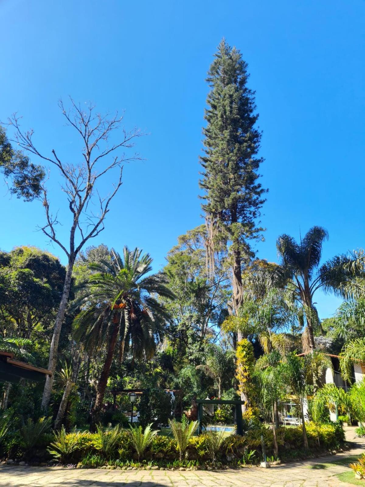Pousada Villa Jambo Petropolis  Luaran gambar