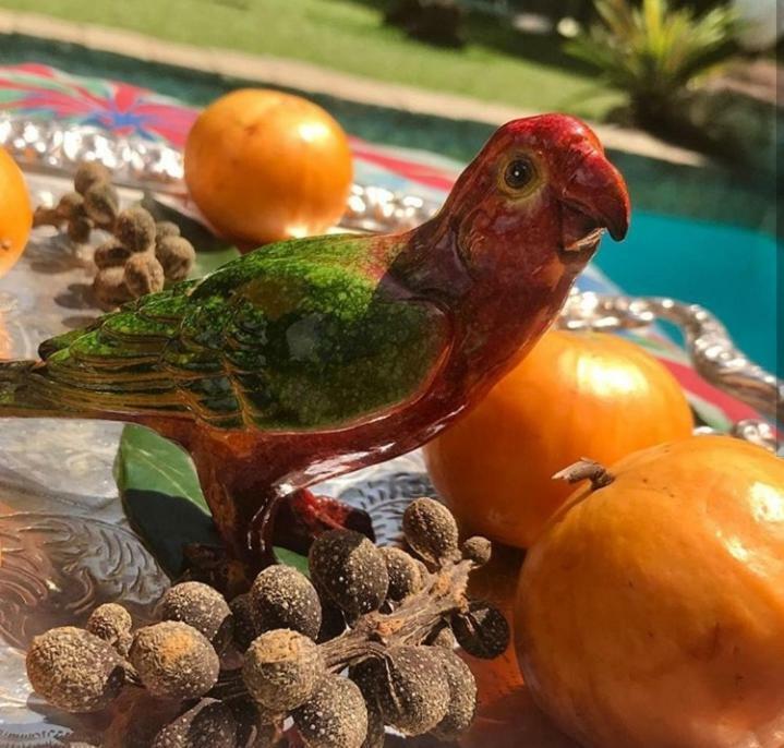 Pousada Villa Jambo Petropolis  Luaran gambar